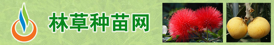 苏州沙家浜旅游发展有限公司